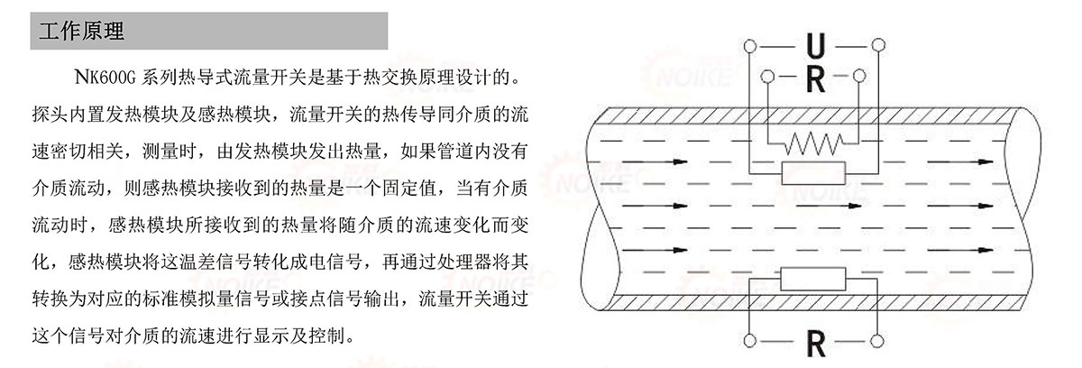 耐高溫十燈顯示流量開關 NK600G型